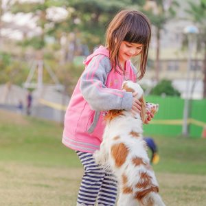 Household Harmony: Training Pets to Live Safely with Children