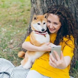 Rescue Pet Adjustment: Behavioral Integration Training Series
