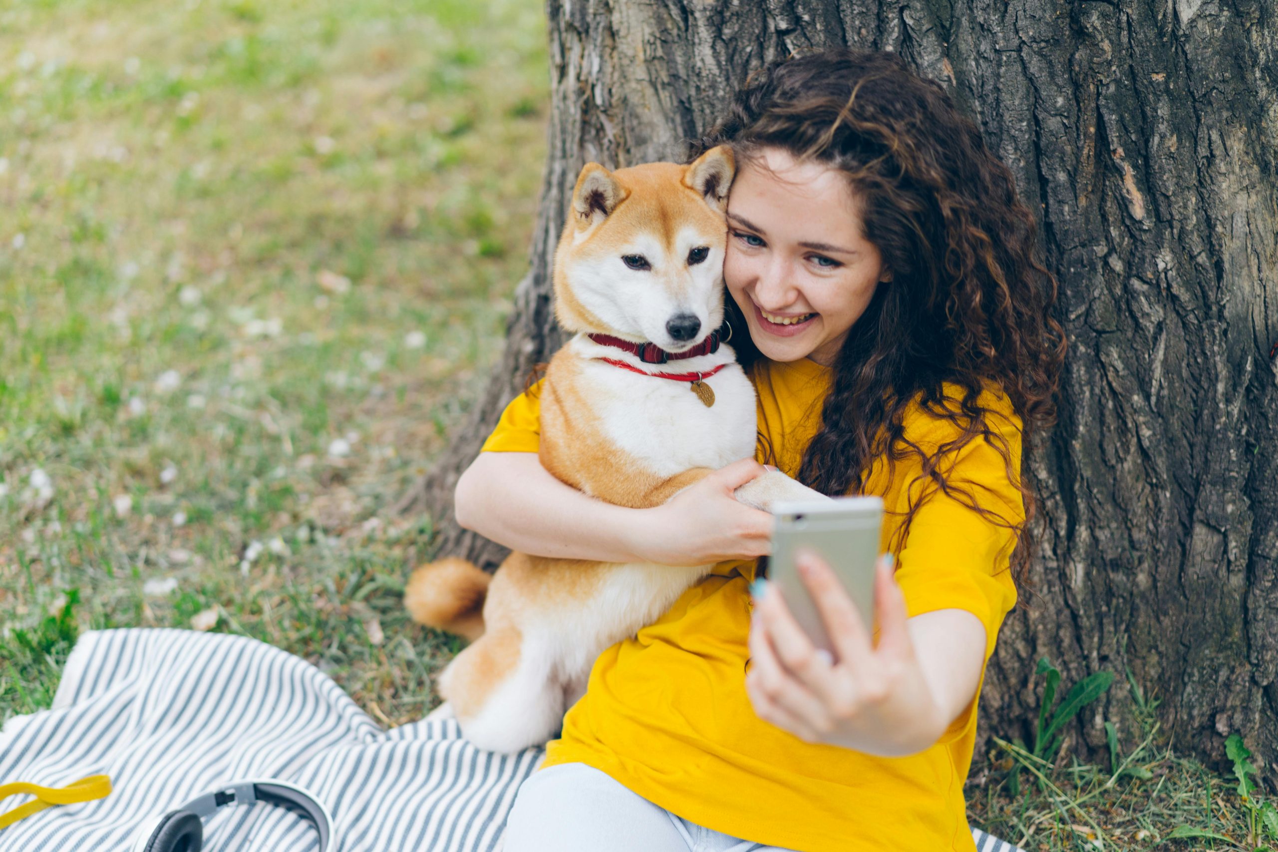 Rescue Pet Adjustment: Behavioral Integration Training Series